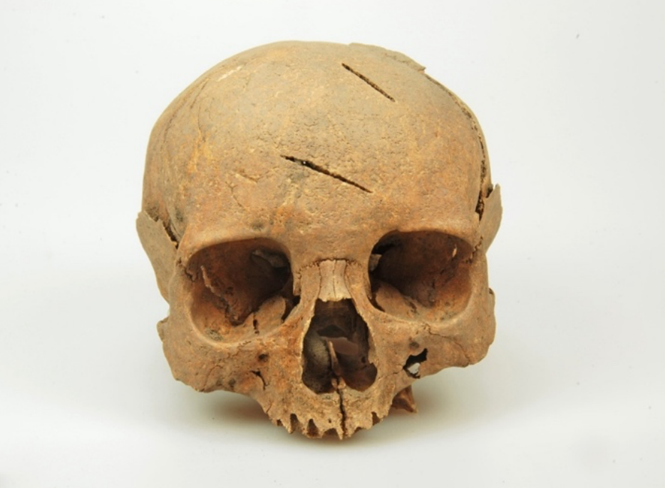 Gevonden schedel met wonden door het zwaard